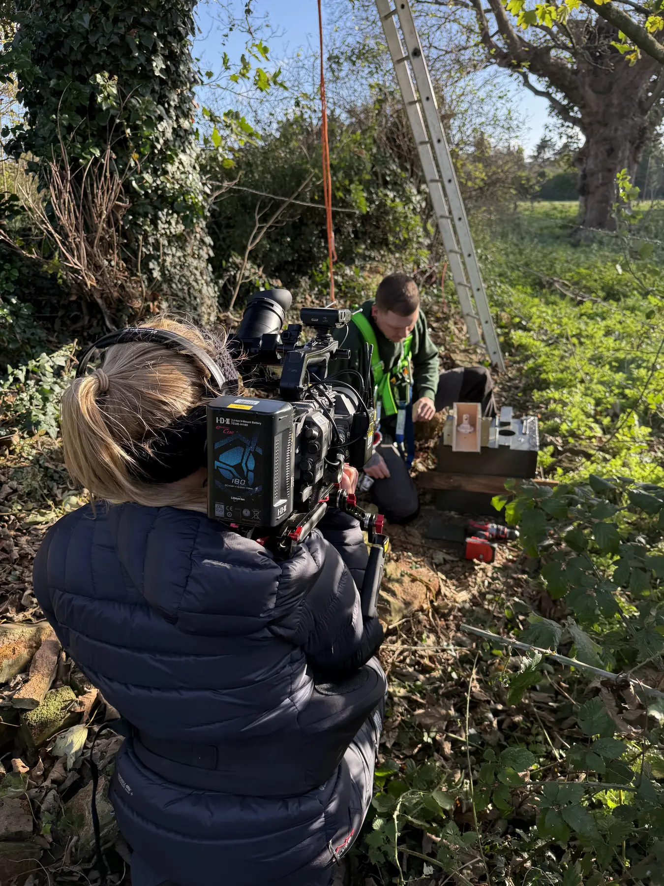 Conservation work being filmed beside a nest box