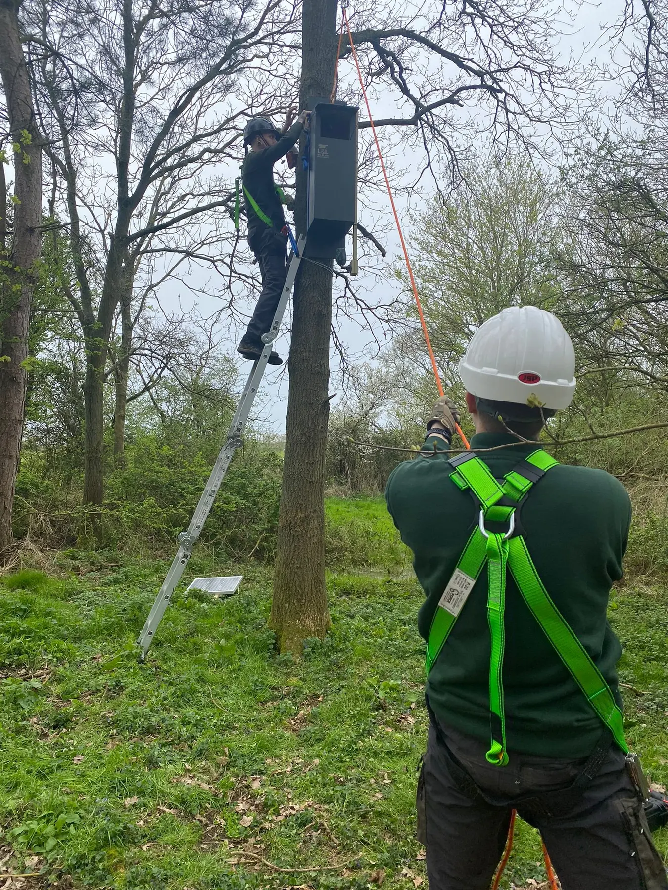 Installing a nest box and monitoring equipment in a tree