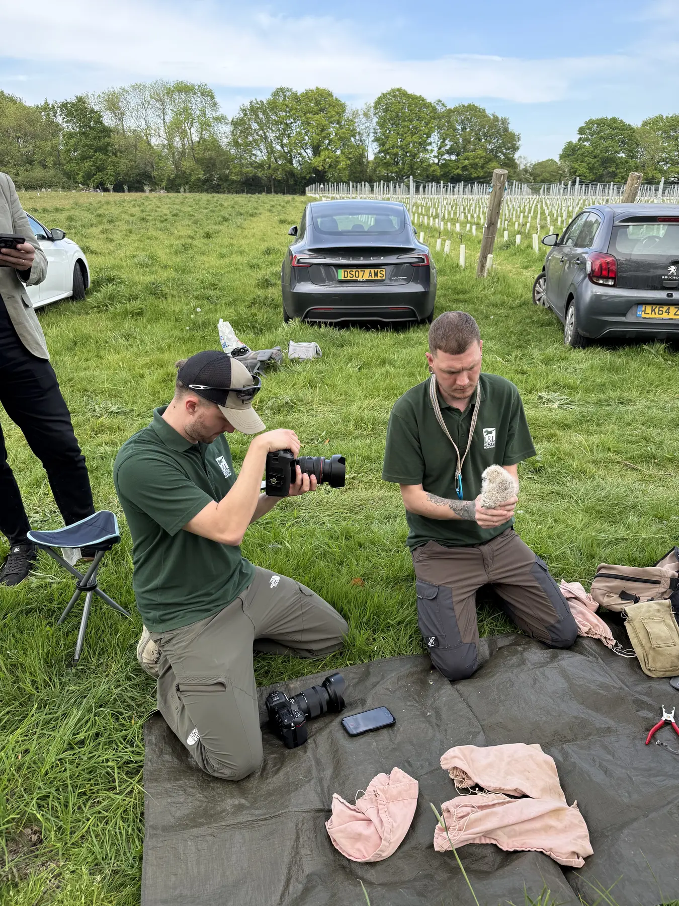 Documenting a young bird during a licensed ringing visit